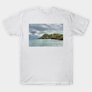 Fort Hillsborough Devon T-Shirt